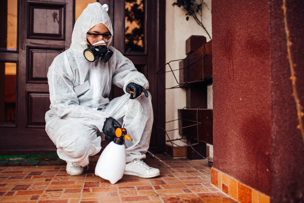 Reliable Cockroach Control contractor in Germantown, MD by Nex Pest Control